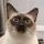 5a468eb8-fc84-43ad-838c-25f776a50974-_qzw4hmrs4.webp